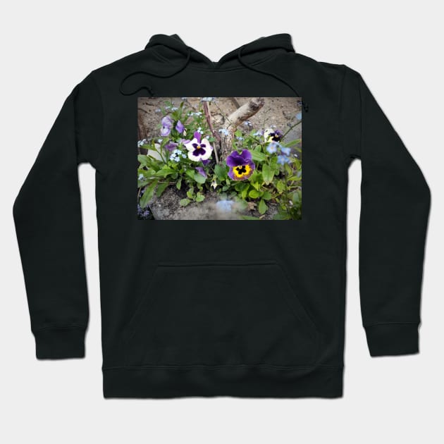 pansies Hoodie by Gourmetkater